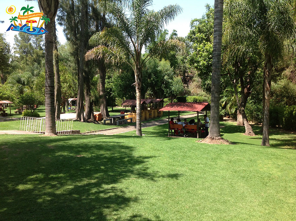 Galeria