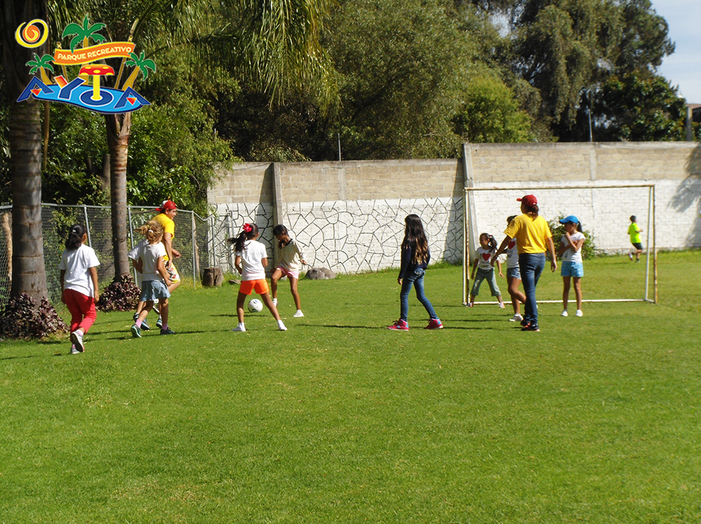Galeria